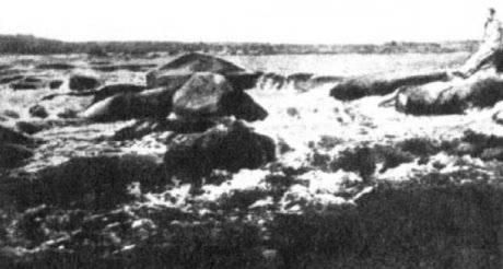 КОДАЦКИЙ.jpg