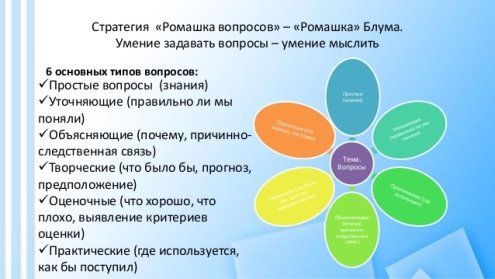 Картинки по запросу ромашка блума