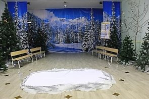 C:\Users\Елена\Videos\Мы хотим, чтоб жили лебеди\Лебеди сказка\IMG_8373.JPG