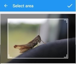 C:\Users\2Deshka\Desktop\Screenshot_2016-06-08-19-02-27.jpg