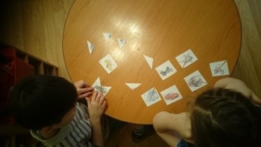 C:\Users\user\Downloads\Gmail(7)\DSC_0278.JPG