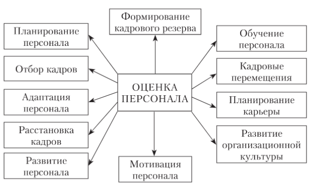 Место оценки в управлении персоналом организации