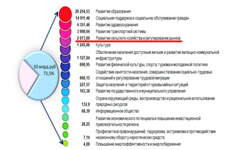 Программные расходы бюджета Амурской области на 2019 г.