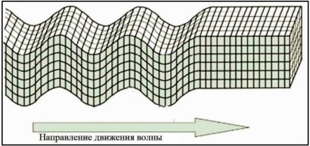 Поперечная волна