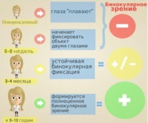 E:\Самообразование по зрительным функциям с 2019-2020 до 2022-23 уч.гг\Бинокулярность 2021-2022\afc55ed27ee2d46530f17f5f9b2c4a1d-800x.jpg