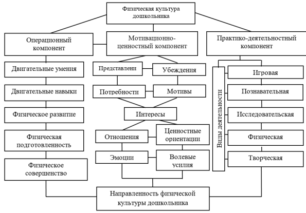 Структура физической культуры дошкольника