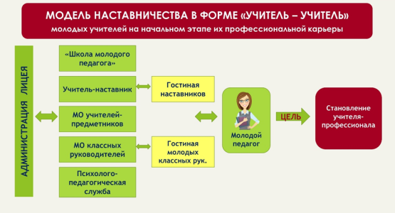 Модель наставничества в форме «учитель — учитель» молодых учителей на начальном этапе их профессиональной деятельности (МОУ Лицей №2)