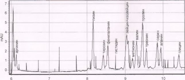АКС напитка «Шалап» (образец 2)