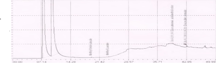 ЖКС напитка «Шалап» (образец 2)