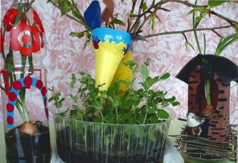 «Веселый огород»