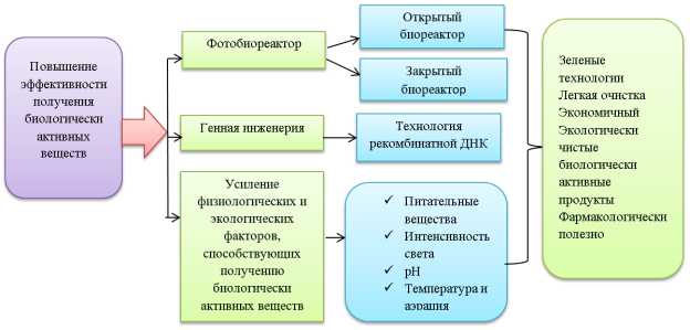 Технологическая схема повышения эффективности использования биоактивного соединения цианобактерий в фармакологической практике