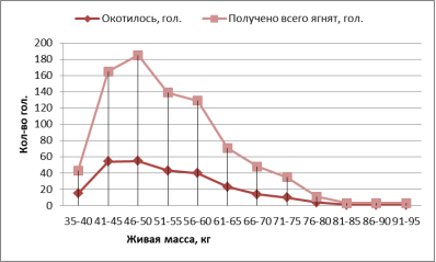 Количество окотившихся овцематок и количество полученных от них ягнят в зависимости от живой массы