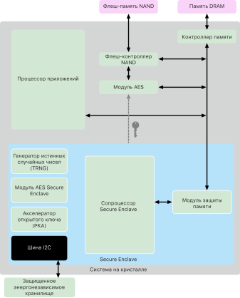 Внутреннее устройство Secure Enclave