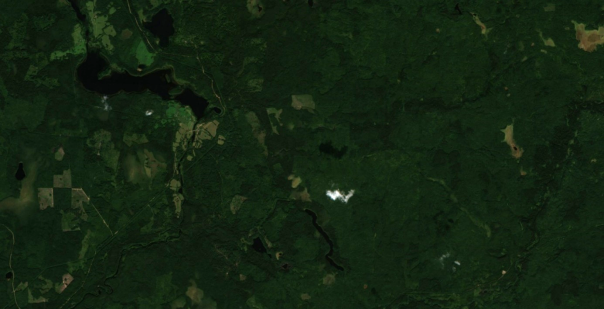 Спутниковый снимок Sentinel-2