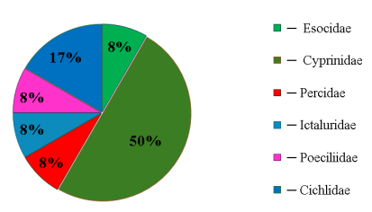 Таксономический анализ семейств ихтиофауны озера Старая Кубань (2024–2025 г.)