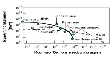Сравнение наследственной и приобретенной информации для различных видов организмов