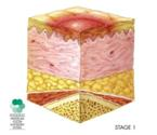 Картинка 10 из 156