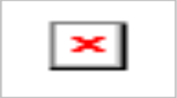 Image4182.gif