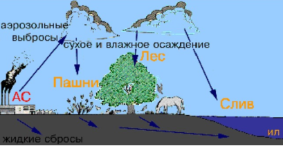 Загрязнение окружающей среды радиоактивными отходами на АЭС