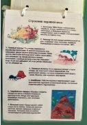 Строение муравейника