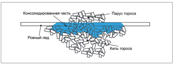 Структура тороса