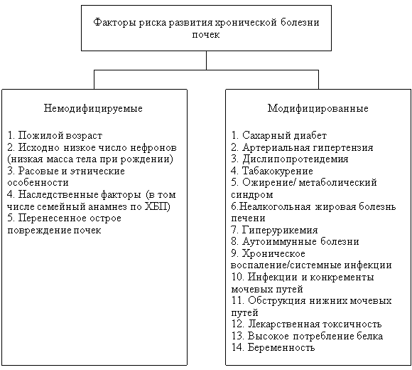 Факторы риска развития хронической болезни почек [2]