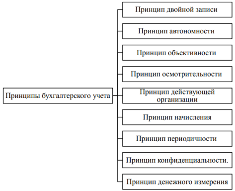 Основные принципы организации бухгалтерского учета