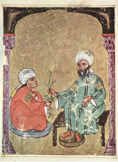 Миниатюра из рукописи De materia medica Диоскорида, 1229 г., Сирия. Музей Дворец Топкапы. Источник: The Yorck Project (2002) 10.000 Meisterwerke der Malerei (DVD-ROM), distributed by DIRECTMEDIA Publishing GmbH
