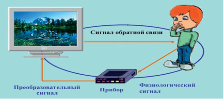 Принцип «физиологического зеркала».