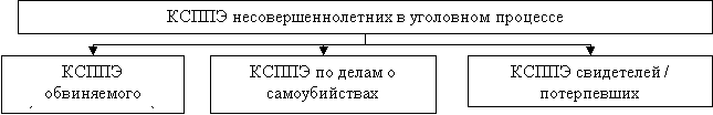 Виды КСППЭ несовершеннолетних