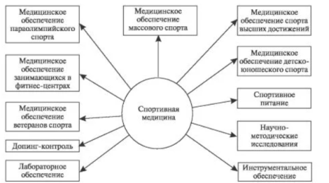Основные разделы существования СМ [7]