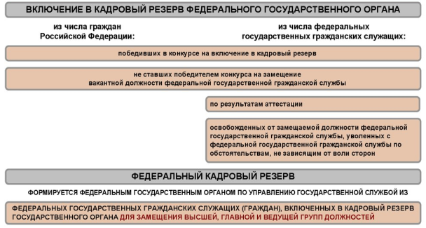 Порядок формирования кадрового резерва на федеральной государственной гражданской службе