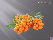 Презентация «Ягоды»