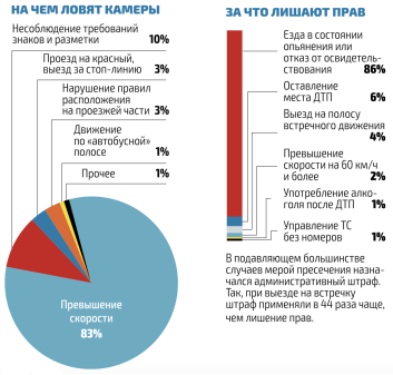 Показатели штрафов и лишения прав