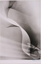 Photogenics. 1950