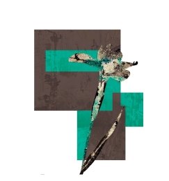 Хемиграммы, выполненные методом комбинаторики в Adobe Photoshop. Автор: Никитюк Дарья
