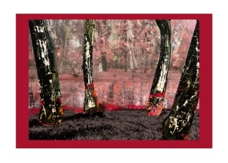 Хемиграммы, выполненные методом комбинаторики в Adobe Photoshop. Автор: Никитюк Дарья