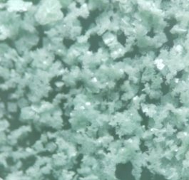 Микрофотография (NH4)4 [NiMo6O18(OH)6] ·5H2О