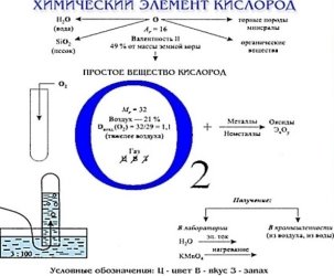 Примеры несплошных текстов