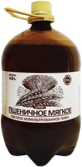 Пшеничное пиво «Пшеничка» [2]