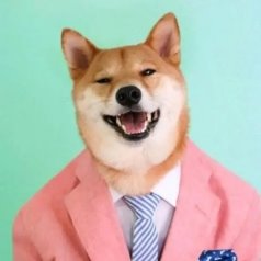 Мем «Doghead» (狗头 gǒutóu)
