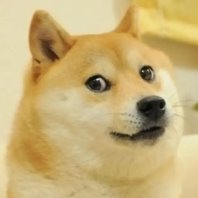 Мем «Doge» (狗狗 gǒugǒu)