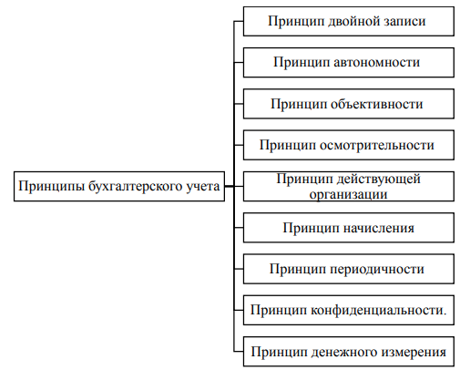 Принципы организации бухгалтерского учета