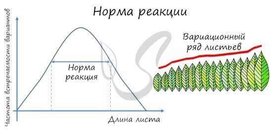Результаты лабораторной работы