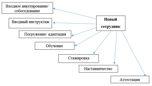 Модель этапов вхождения вновь принятого сотрудника в организацию