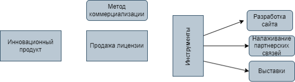 Элементы выдвижения инновационного продукта ООО «Трейс Вей» на рынок