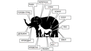 https://avatars.dzeninfra.ru/get-zen_doc/9731390/pub_646002686a6d9466d98a82bd_646002aea62c3f2abc74f2f3/scale_2400