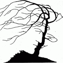 Picture background