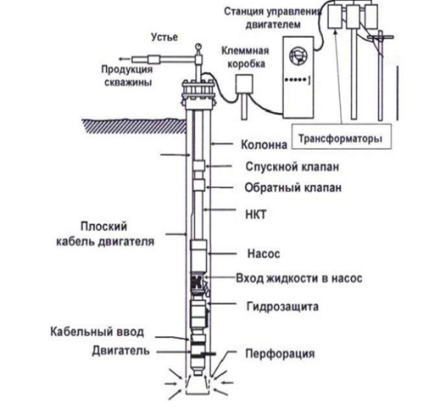 Схема УЭЦН