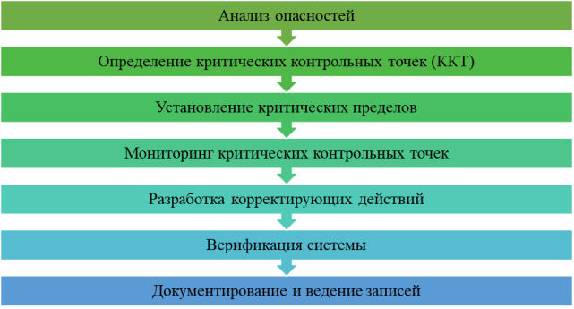 Семь ключевых принципов HACCP [5]